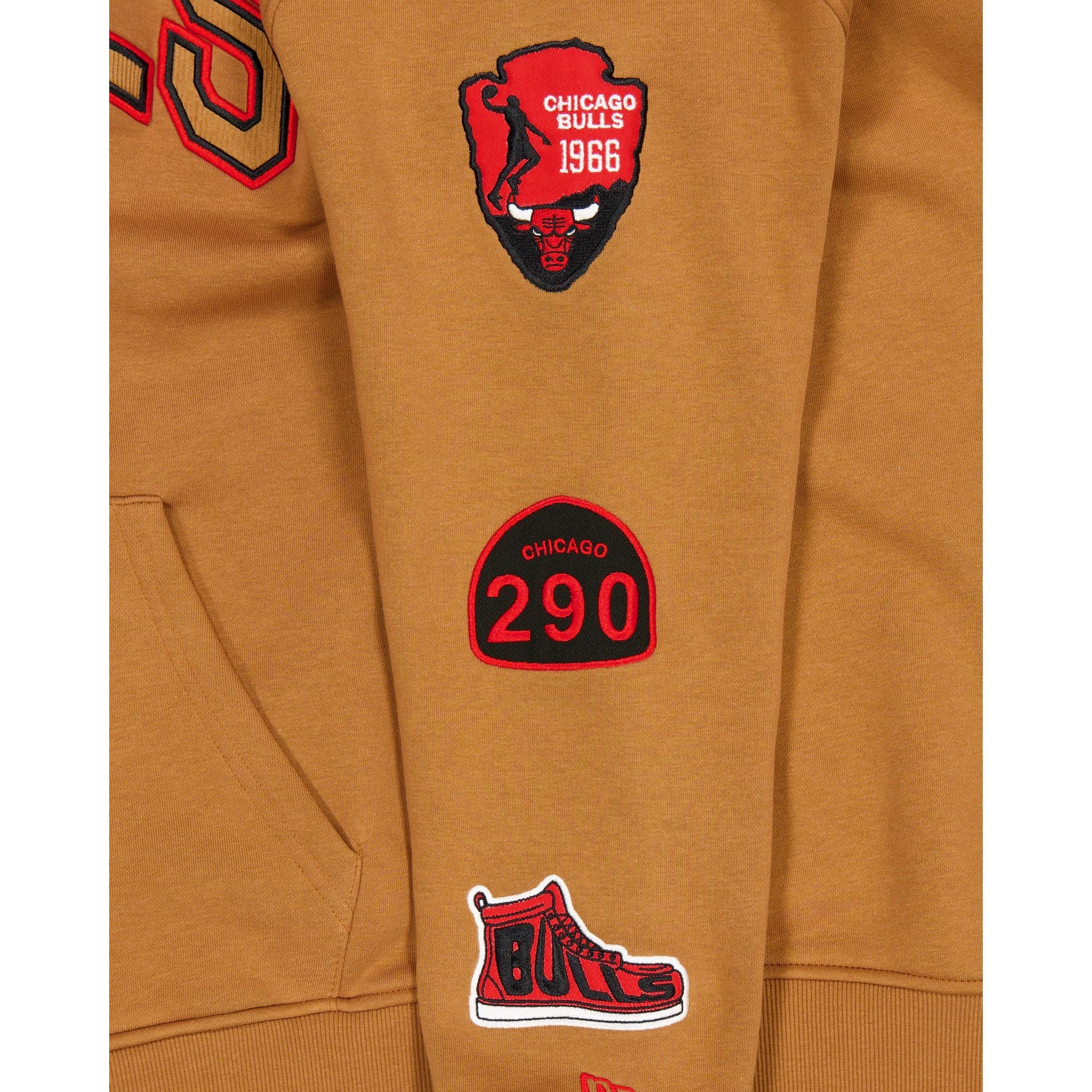 Chicago Bulls 2025 All-Star Game Victory Grove Light Bronze Hoodie - Image 3